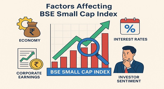 Key factors influencing BSE Small Cap Index such as economy, liquidity, sentiment, and regulation.