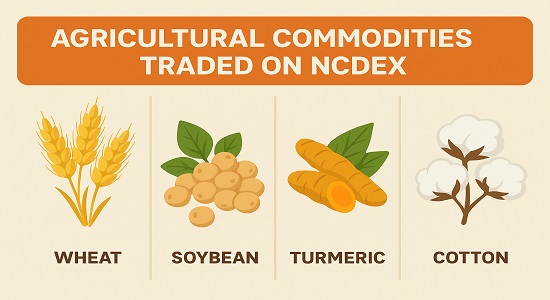 Agricultural commodities traded on NCDEX – cereals, pulses, oilseeds, spices, and fibers.