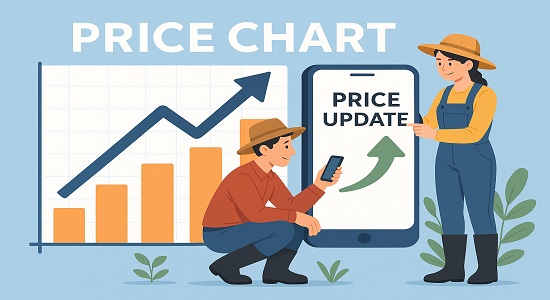 NCDEX transparent price discovery through real-time market updates